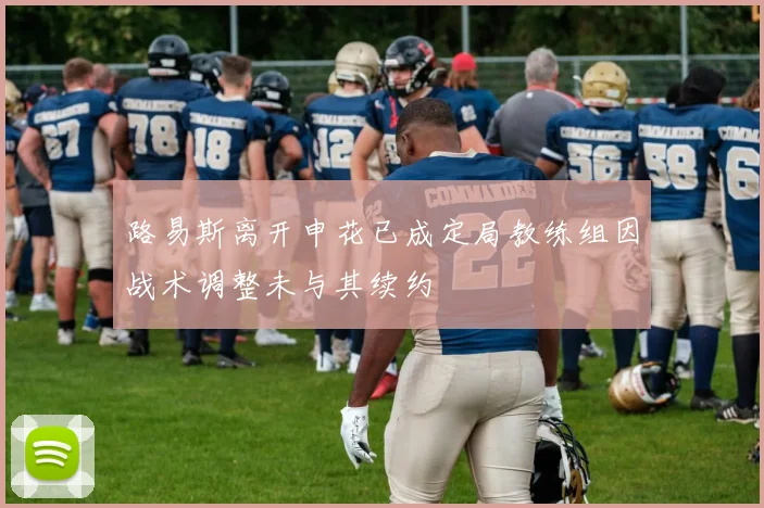 路易斯离开申花已成定局教练组因战术调整未与其续约