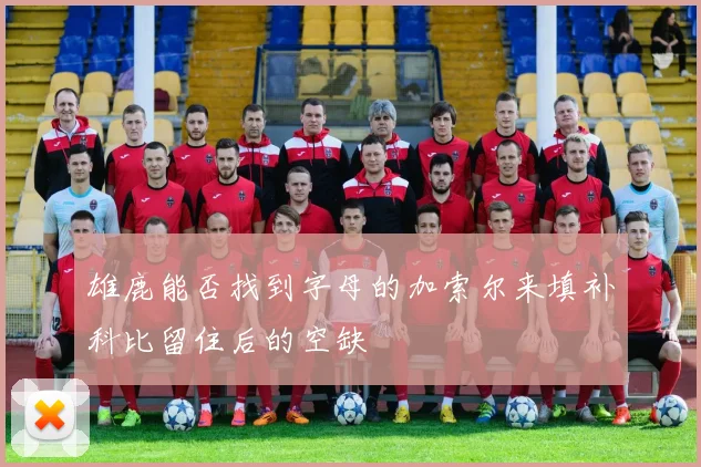 雄鹿能否找到字母的加索尔来填补科比留住后的空缺